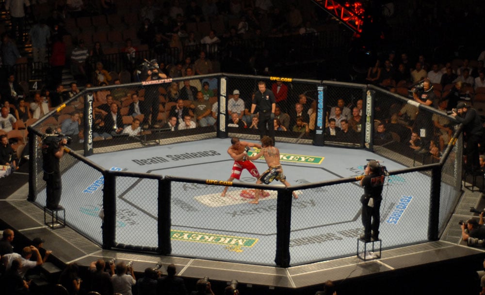 Octagon MMA Cage